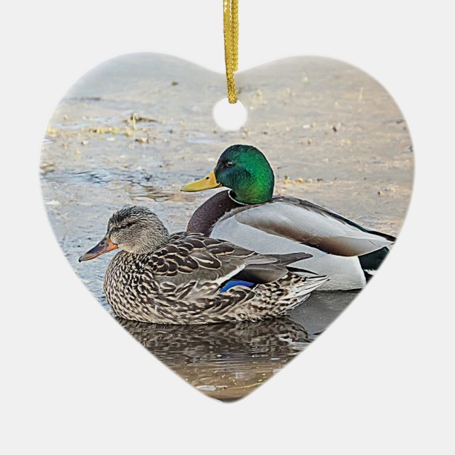 Portrait of a male and female mallard ceramic tree decoration (Front)