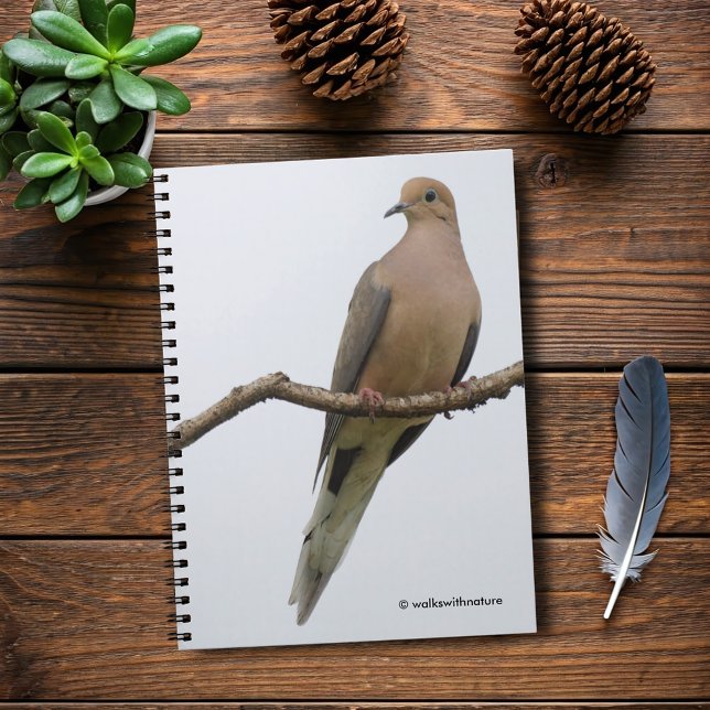 Portrait of a Mourning Dove Spiral Notebook (Portrait of a Mourning Dove Journal Cover Photo)