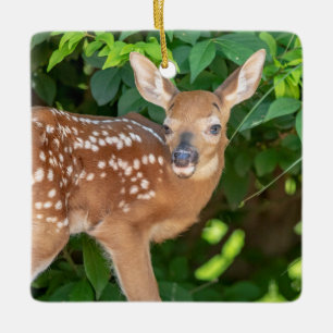Portrait of a Newborn Fawn (white-tailed deer) Ceramic Ornament