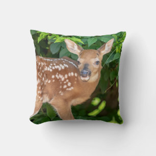 Portrait of a Newborn Fawn (white-tailed deer) Cushion