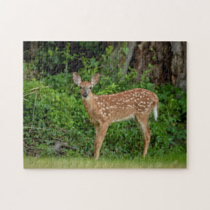 Portrait of a Newborn Fawn (white-tailed deer) Jigsaw Puzzle