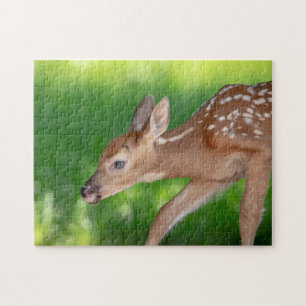 Portrait of a Newborn Fawn (white-tailed deer) Jigsaw Puzzle