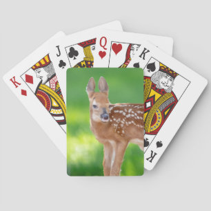 Portrait of a Newborn Fawn (white-tailed deer Playing Cards