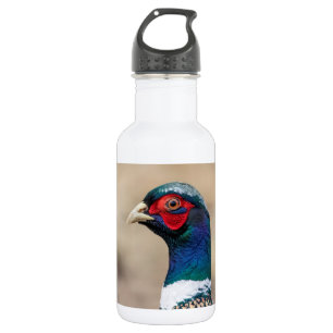 Portrait of a pheasant 532 ml water bottle