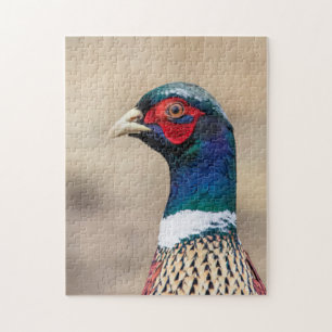 Portrait of a pheasant jigsaw puzzle