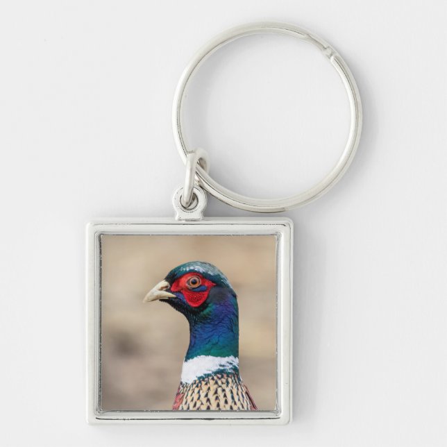 Portrait of a pheasant key ring (Front)