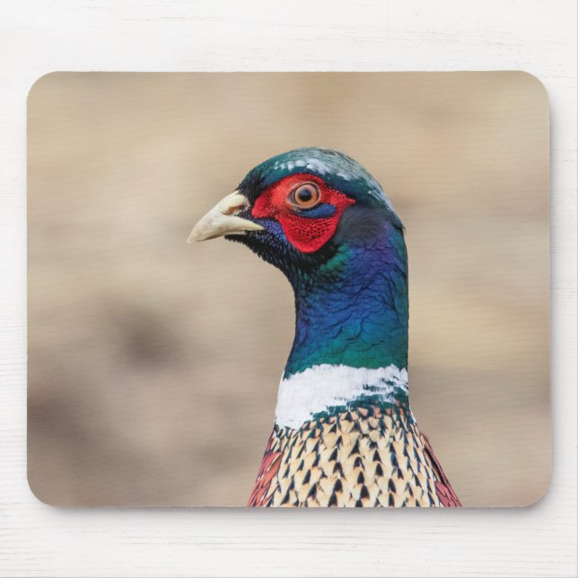 Portrait of a pheasant mouse pad (Front)