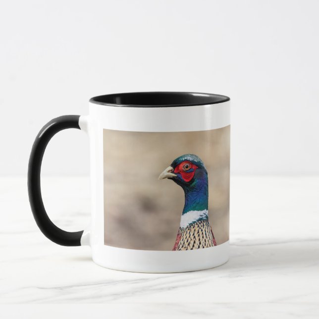 Portrait of a pheasant mug (Left)