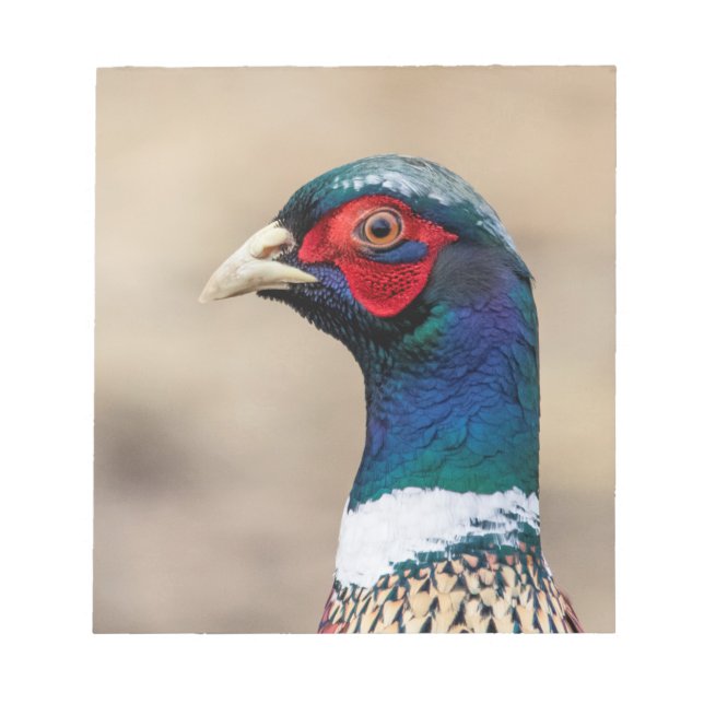 Portrait of a pheasant notepad (Front)