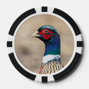 Portrait of a pheasant poker chips