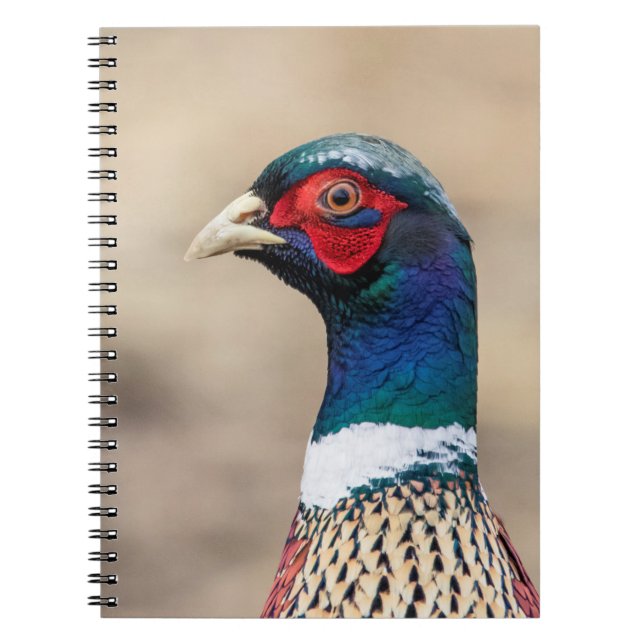 Portrait of a pheasant spiral notebook (Front)