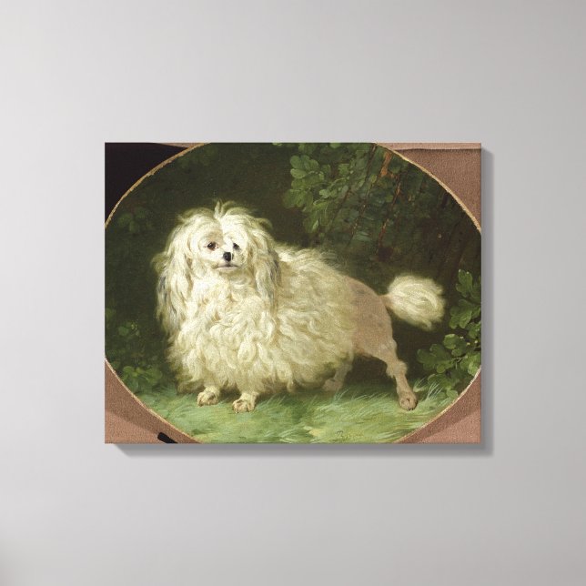 Portrait of a Poodle Canvas Print (Front)