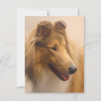 Portrait of a Rough Sable Collie Card