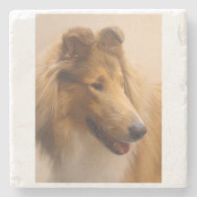 Portrait of a Rough Sable Collie