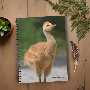 Portrait of a Sandhill Crane Colt Notebook