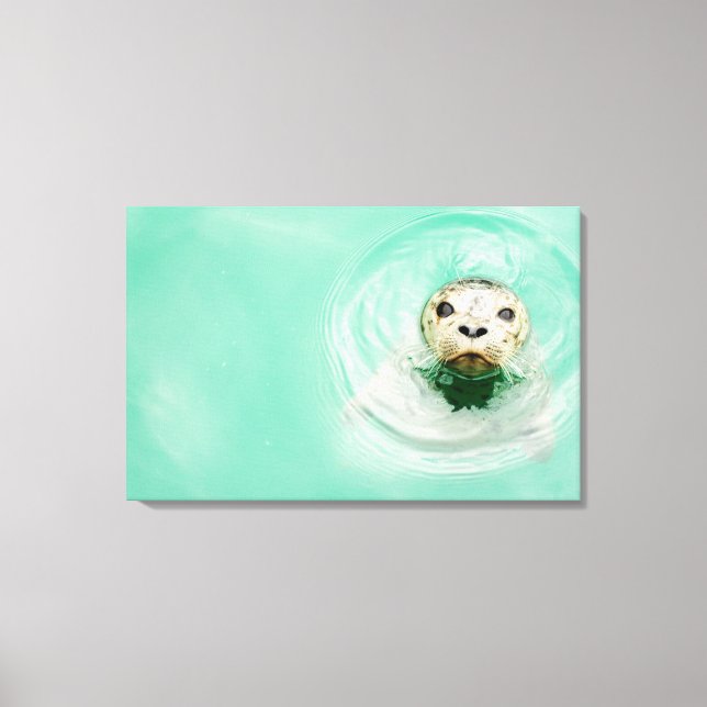 Portrait of a seal in water canvas print (Front)
