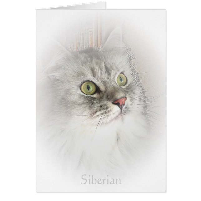 Portrait of a Siberian Card (Front)