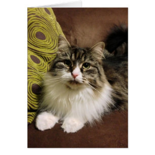 Portrait of a Siberian Card