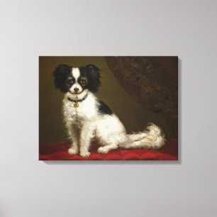Portrait of a Spaniel Canvas Print