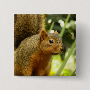 Portrait of a Squirrel Nature Animal Photography 15 Cm Square Badge