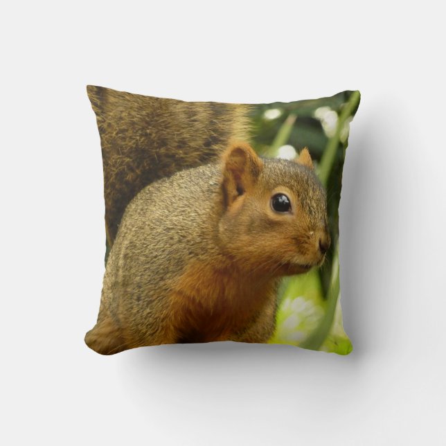 Portrait of a Squirrel Nature Animal Photography Cushion (Front)