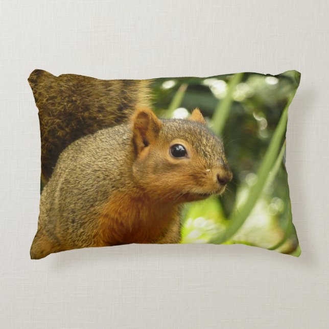 Portrait of a Squirrel Nature Animal Photography Decorative Cushion (Front)