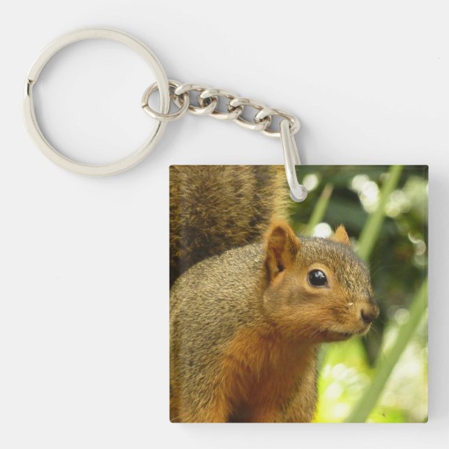 Portrait of a Squirrel Nature Animal Photography Key Ring (Front)
