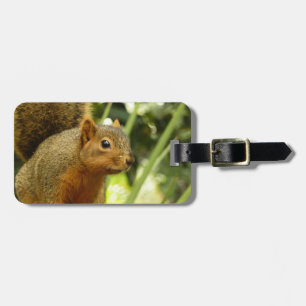 Portrait of a Squirrel Nature Animal Photography Luggage Tag