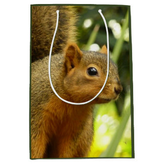 Portrait of a Squirrel Nature Animal Photography Medium Gift Bag