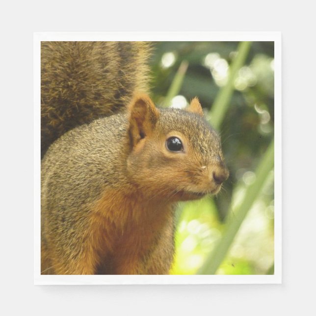 Portrait of a Squirrel Nature Animal Photography Napkin (Front)