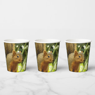 Portrait of a Squirrel Nature Animal Photography Paper Cups