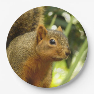 Portrait of a Squirrel Nature Animal Photography Paper Plate