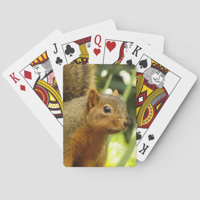 Portrait of a Squirrel Nature Animal Photography Playing Cards (Back)