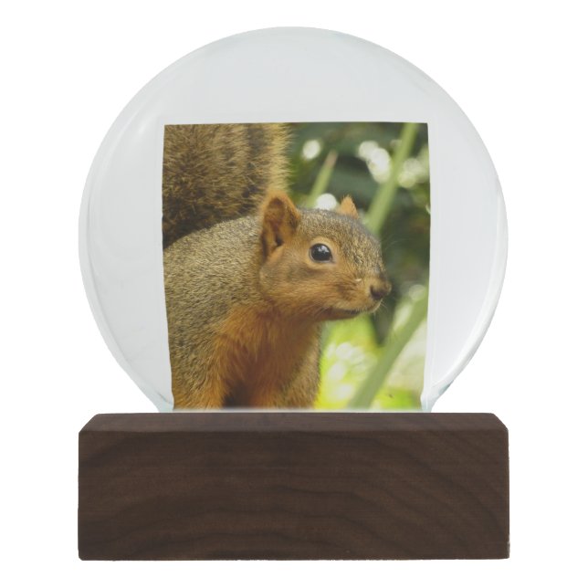 Portrait of a Squirrel Nature Animal Photography Snow Globe (Front)