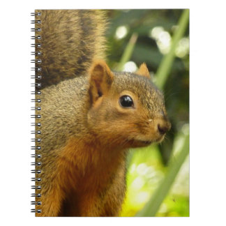 Portrait of a Squirrel Nature Animal Photography Spiral Notebook