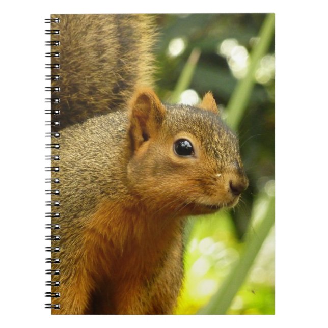 Portrait of a Squirrel Nature Animal Photography Spiral Notebook (Front)