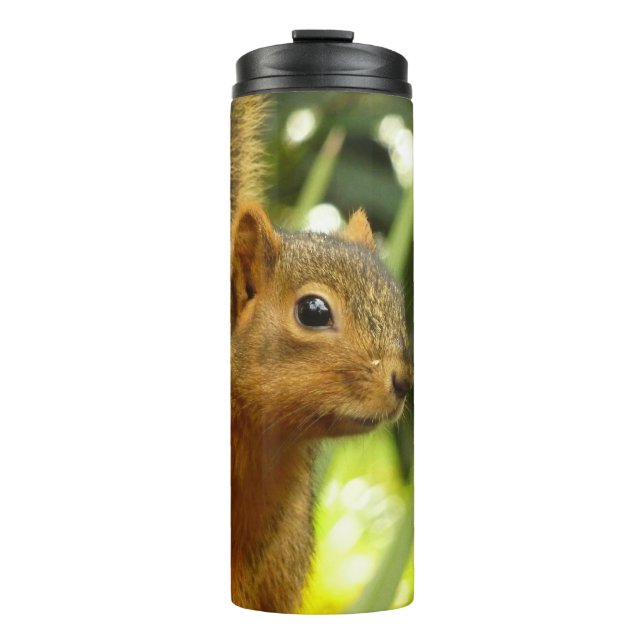 Portrait of a Squirrel Nature Animal Photography Thermal Tumbler (Front)