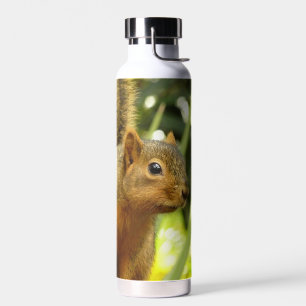 Portrait of a Squirrel Nature Animal Photography Water Bottle