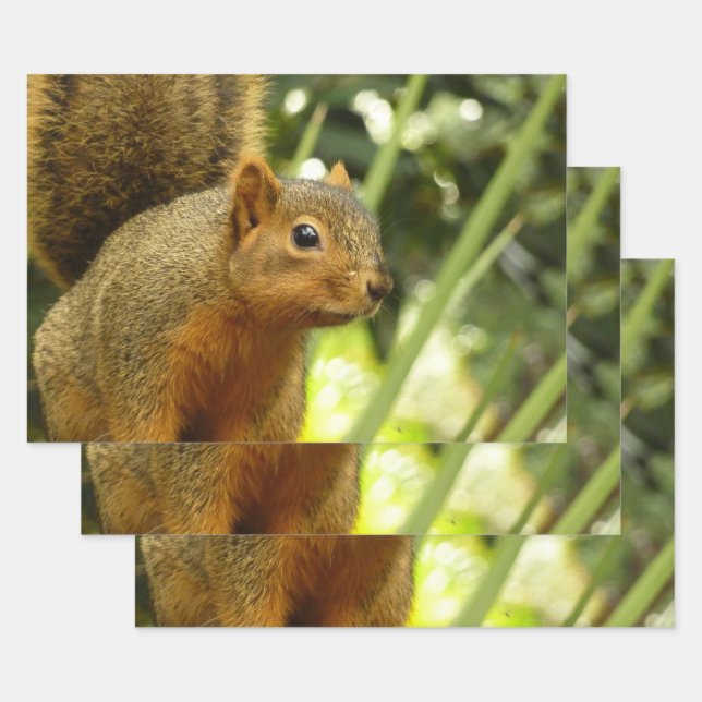 Portrait of a Squirrel Nature Animal Photography Wrapping Paper Sheet (Set)