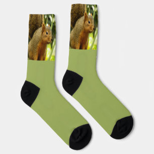 Portrait of a Squirrel Socks