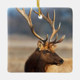 Portrait of a stunning bull elk ceramic ornament