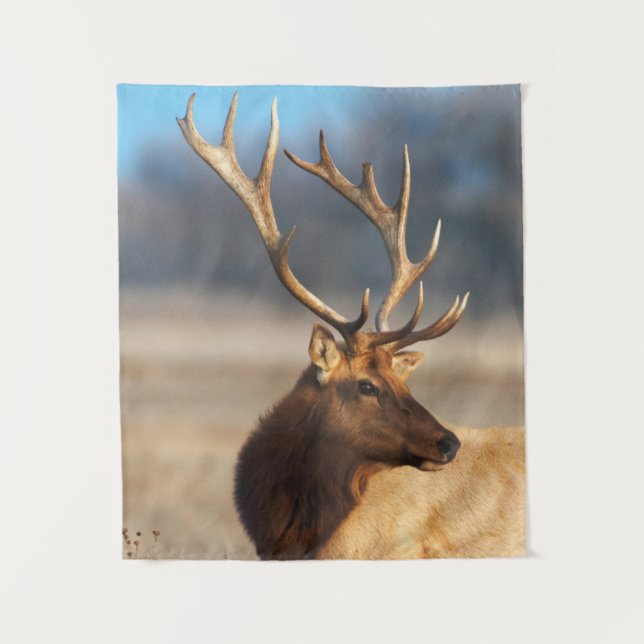Portrait of a Stunning Bull Elk Tapestry (Front)
