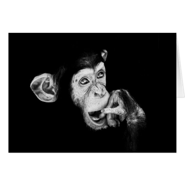 Portrait of a thinker Chimpanzee (Front Horizontal)