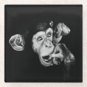Portrait of a thinker Chimpanzee Glass Coaster