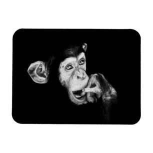 Portrait of a thinker, Chimpanzee Magnet
