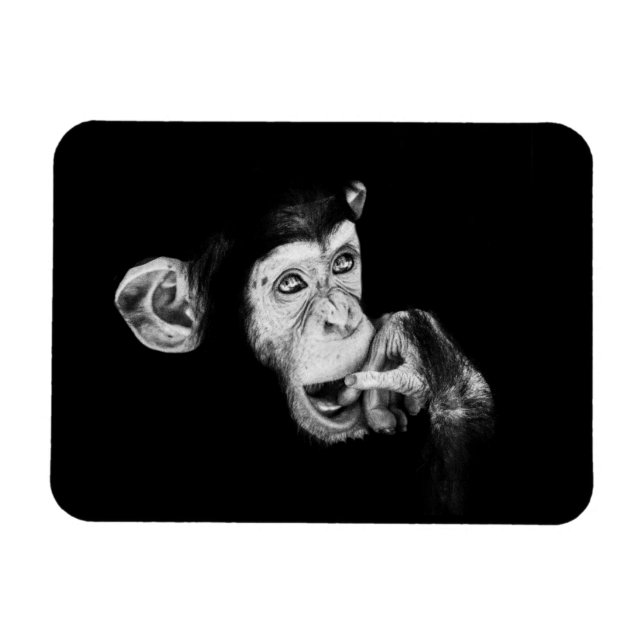 Portrait of a thinker, Chimpanzee Magnet (Horizontal)