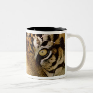 Portrait of a tiger Two-Tone coffee mug