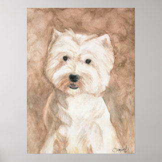 Portrait of a Westie Poster