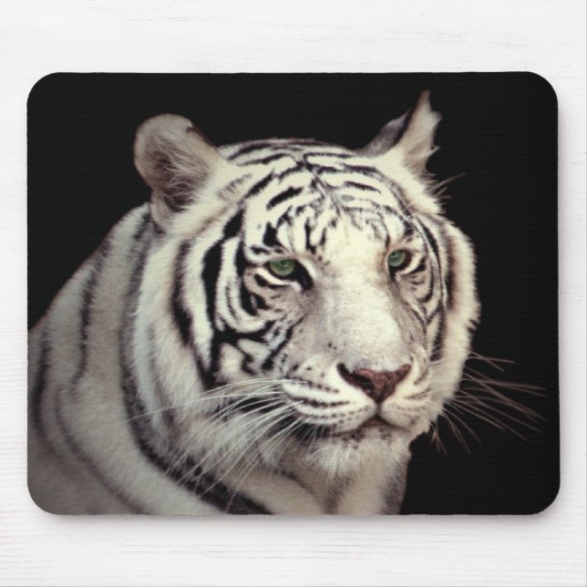 Portrait of a White Bengal Tiger Mouse Pad (Front)