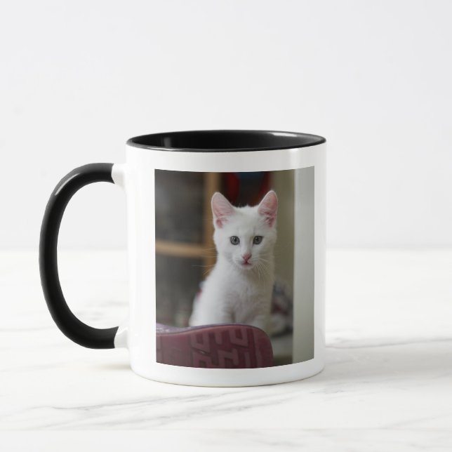 Portrait of a white kitten, Sweden. Mug (Left)